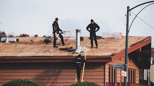 Tips on how to keep your home roof clean and damage free easily!